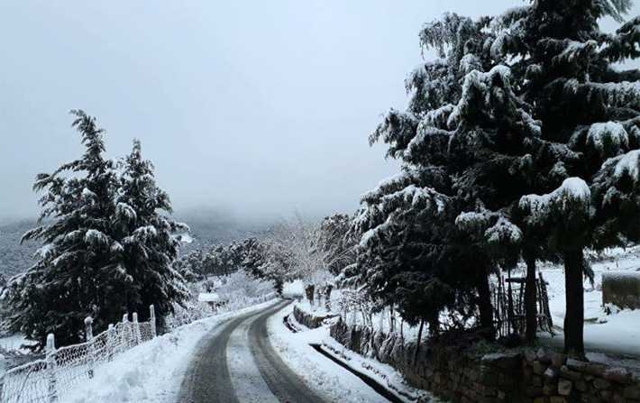 Météo Tunisie : pluies orageuses et chutes de neige attendues