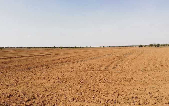 Utique : destruction de dix hectares de cultures irriguées par des eaux usées