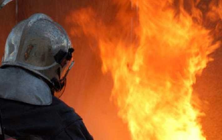 Incendies en Tunisie : 147 foyers éteints en une journée
