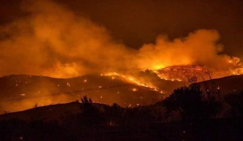 Un hectare d'alfa ravagé par un incendie à Kasserine