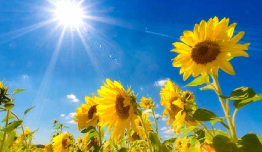 Météo : hausse des températures et cellules orageuses