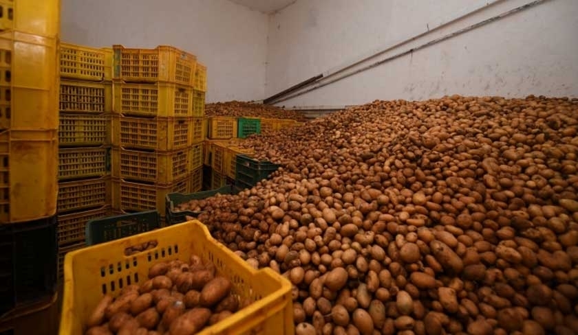 La cargaison de pommes de terre contaminée renvoyée en Turquie