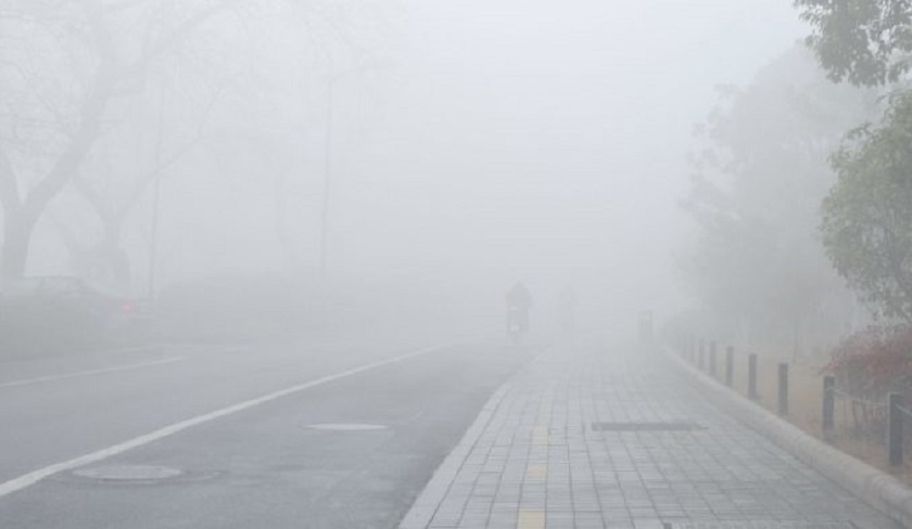 Alerte météo : brouillard dense dans plusieurs régions tunisiennes