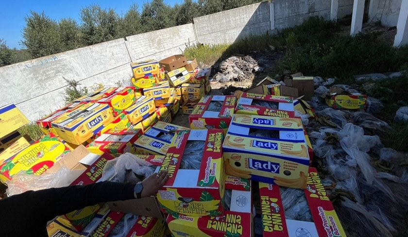 Saisie de plus 56 tonnes de bananes à Naassen