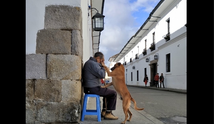 Non, cette photo n'a pas été prise en Tunisie