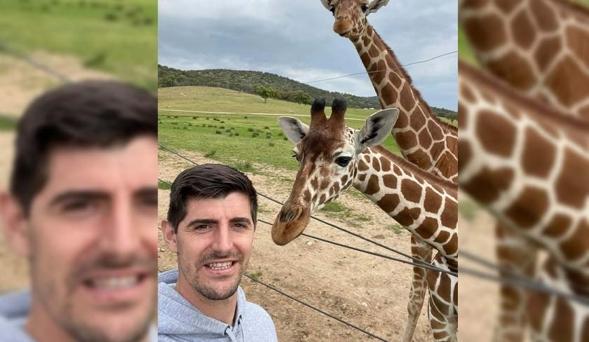 Ironique : Thibaut Courtois devient un homme d'affaires tunisien