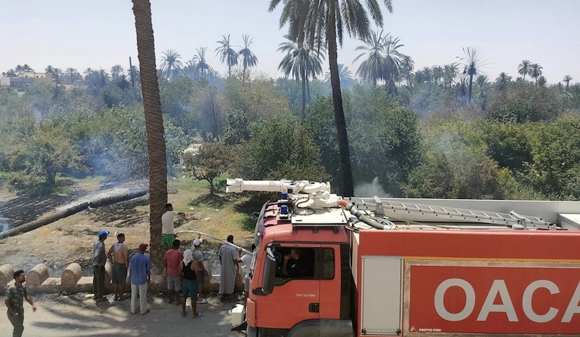 Incendie dans l'oasis de Gafsa : le feu maitrisé