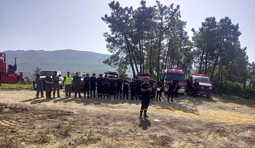 Incendie de Melloula : environ 500 hectares de forêt endommagés