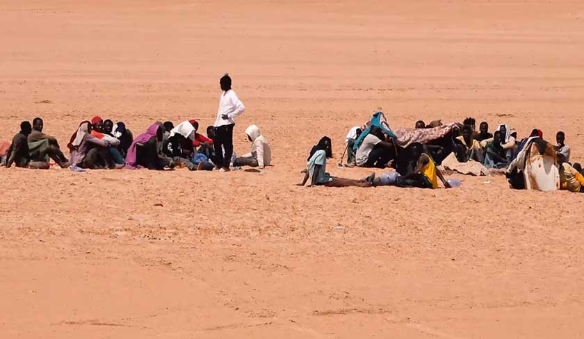 Grimaldi : 1.200 personnes ont été expulsées de la Tunisie vers les frontières algériennes et libyennes