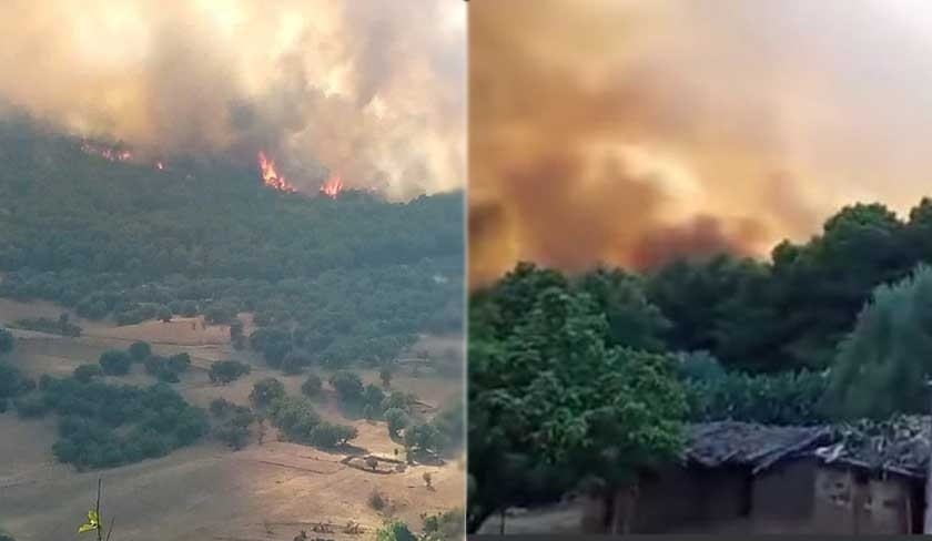 Un important incendie se déclare à la forêt de Ghardimaou