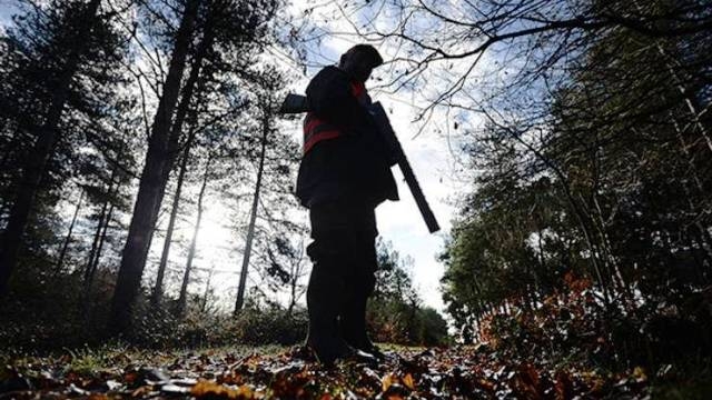 Fête de l’Évacuation: Interdiction de la chasse dans ces gouvernorats