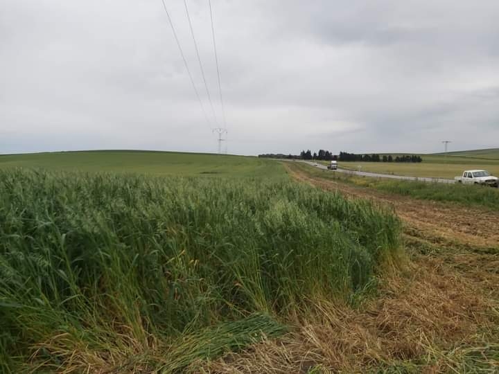 Zaghouan: 17,4 MD débloqués pour la réalisation des projets agricoles