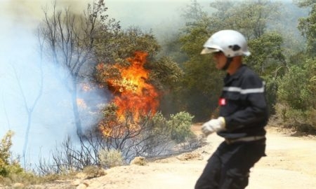 Tunisie-Protection civile: 78 opérations d’extinction d’incendie