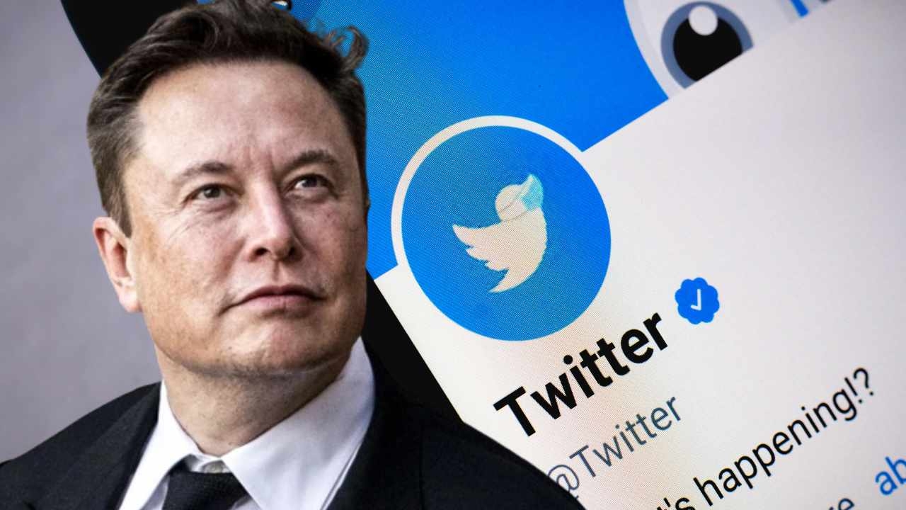 Twitter perd la moitié de ses revenus publicitaires depuis son rachat par Elon Musk