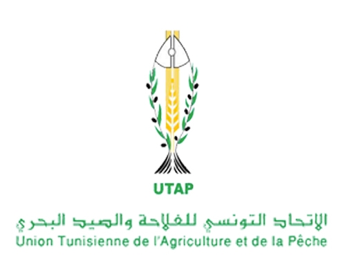 Moez Ben Zaghdene élu nouveau président de l’Union tunisienne de l’agriculture et de la pêche...