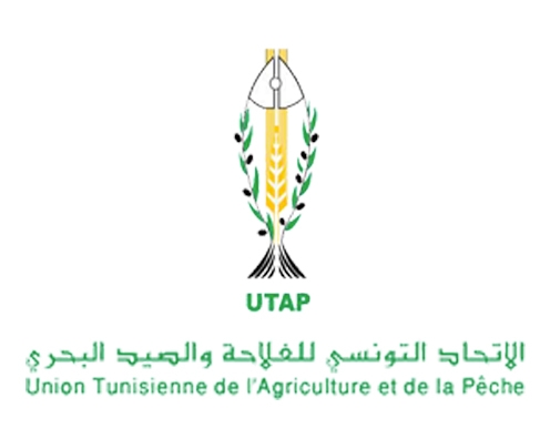 L’UTAP appelle à fournir les semences nécessaires et le DAP pour les agriculteurs