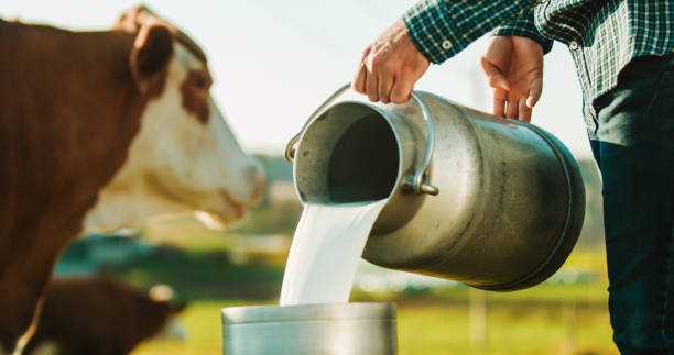 Tunisie-UTAP: Appel à une augmentation du prix du lait à la production