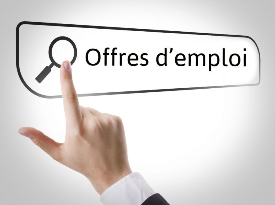 Emploi : Préparation optimale pour décrocher le job de vos rêves : un guide complet