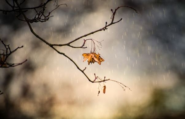 Météo de ce jeudi 11 janvier 2024