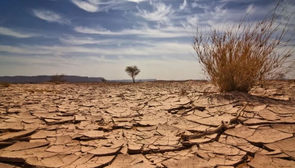 Tunisie-Sécheresse: Mise en place d’un plan pour renforcer le contrôle sur l’eau