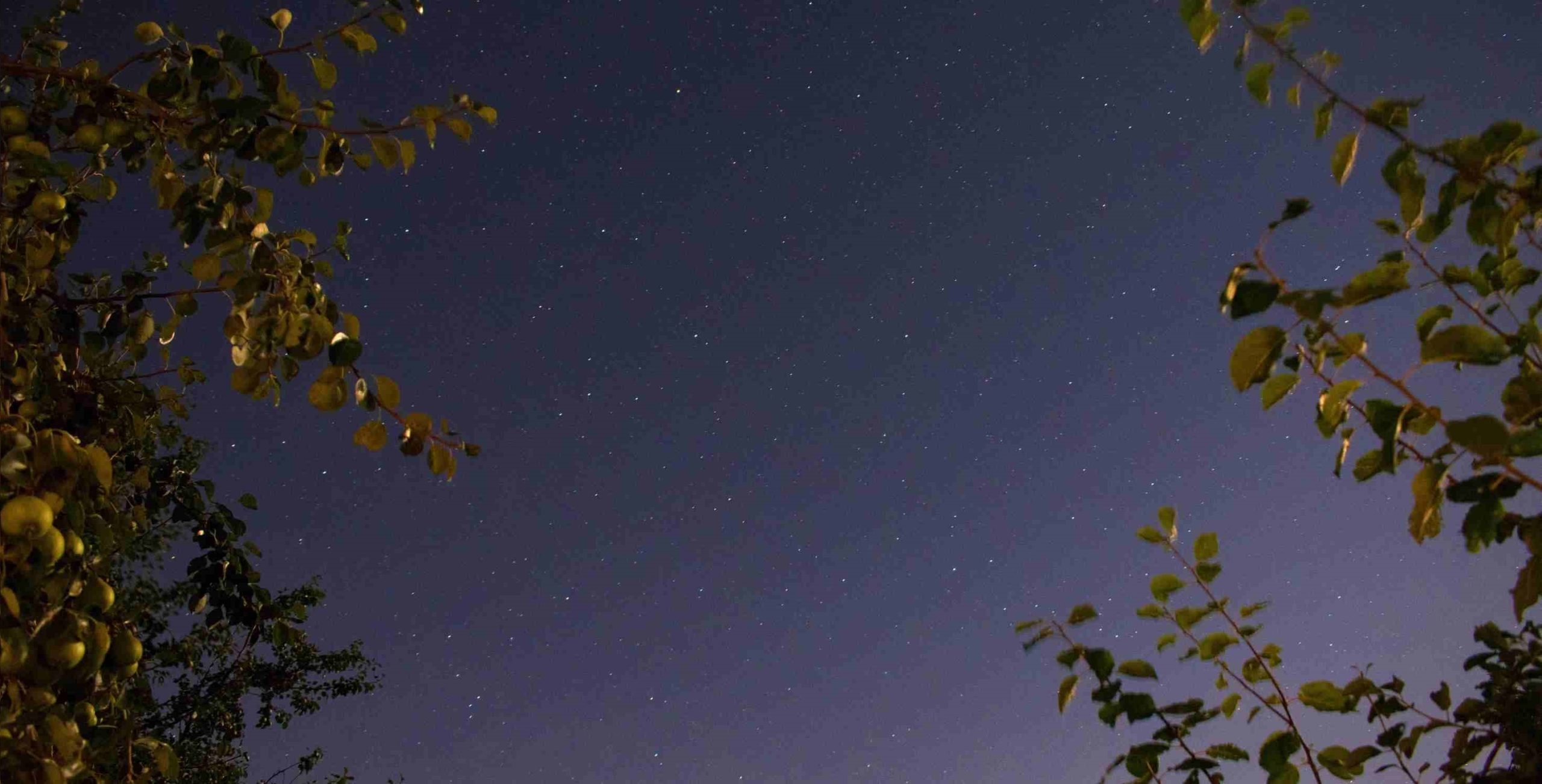 Tunisie – METEO : Ciel clair températures entre 12 et 20°