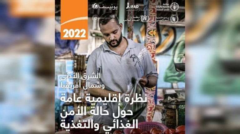 L’insécurité alimentaire affecte 154,3 millions de personnes dans la région arabe (Rapport)