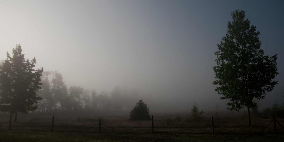 Tunisie – METEO : Ciel voilé, brouillard et vent soutenu ailleurs