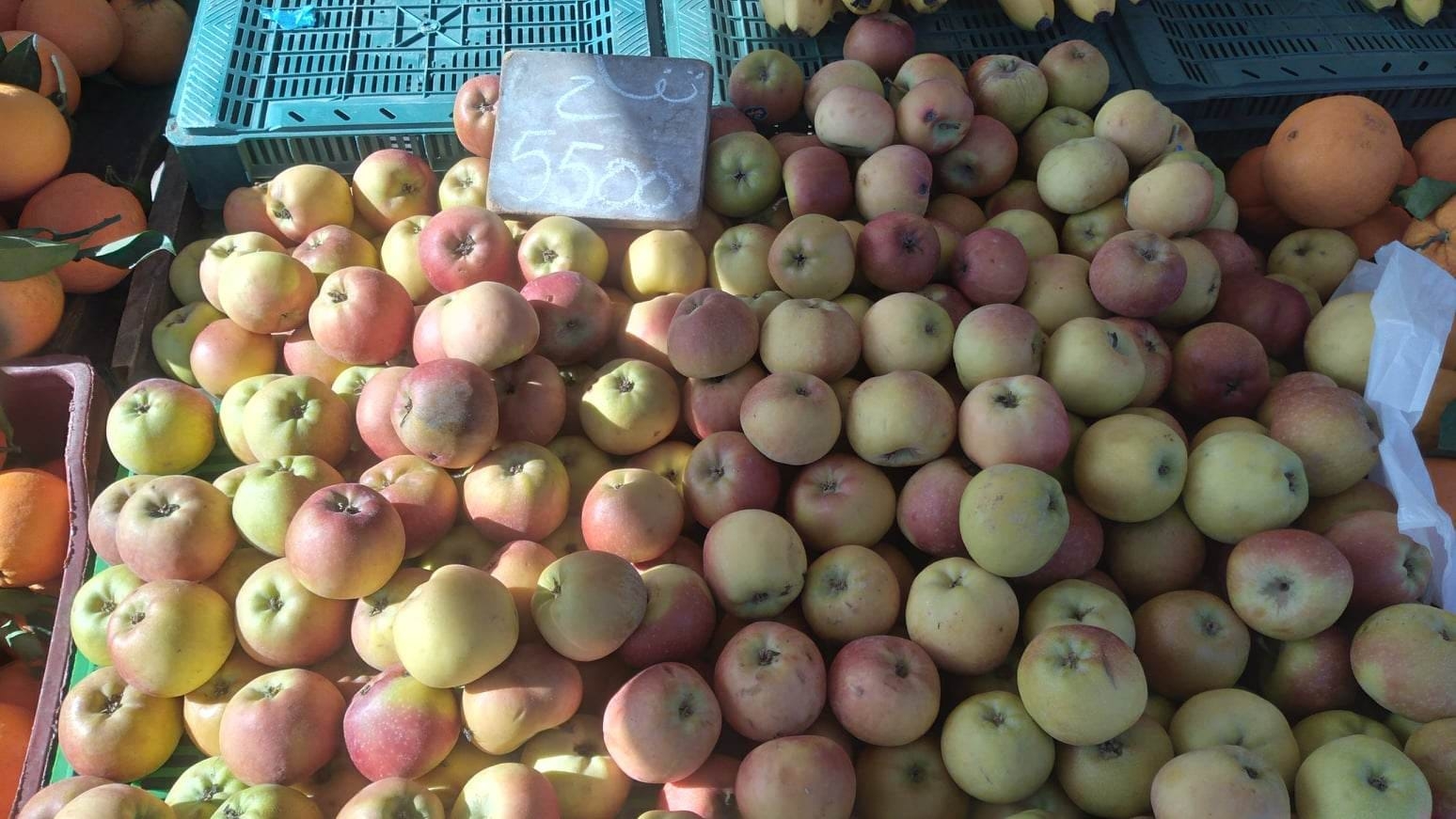 Nabeul: Prix au marché municipal [Photos]