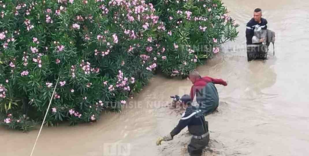 Tunisie – Jendouba : Crue du Medjerda : Sauvetage de 3 bergers et 42 têtes d’ovins