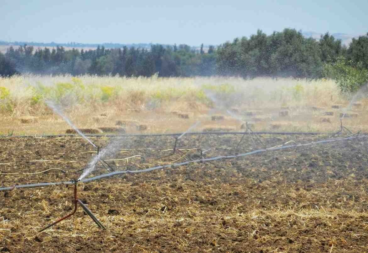 L’inaction face au déclin de la production agricole est désastreuse pour la Tunisie (ITCEQ/AFD)