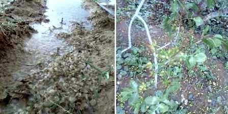 Kasserine : Pluies abondantes et grêle… Crue de l’Oued Haidra