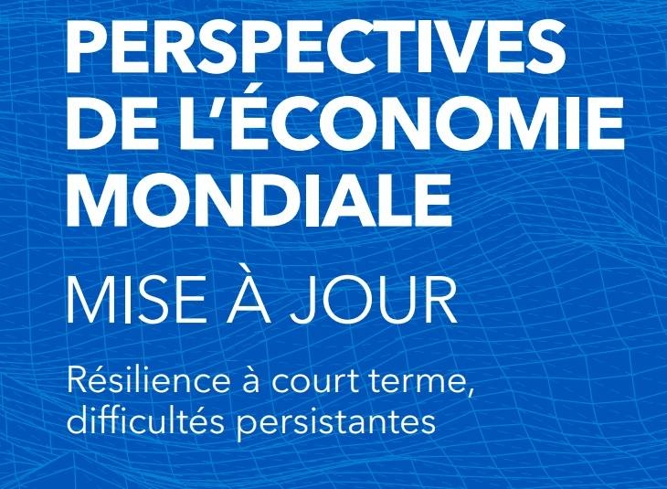 La baisse annoncée de la production du pétrole pèse sur la croissance au Moyen-Orient et en Asie centrale