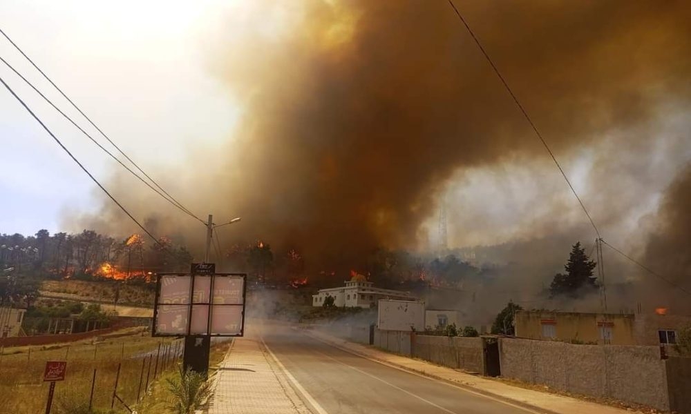 La forêt de Melloula ravagée par les flammes [Photos]