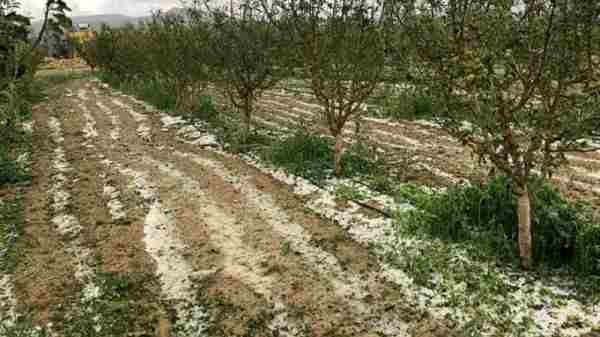 Tunisie – Le Kef : Des pluies torrentielles et de la grêle ont occasionné de grands dégâts