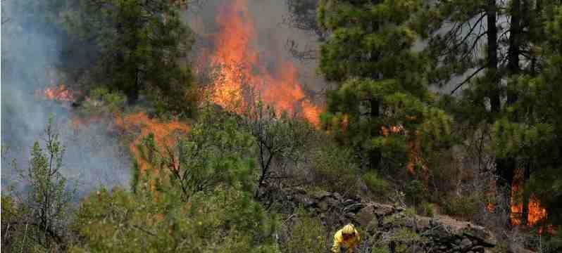 Espagne : îles Canaries : Evacuation de 4000 personnes à cause des incendies de forêt