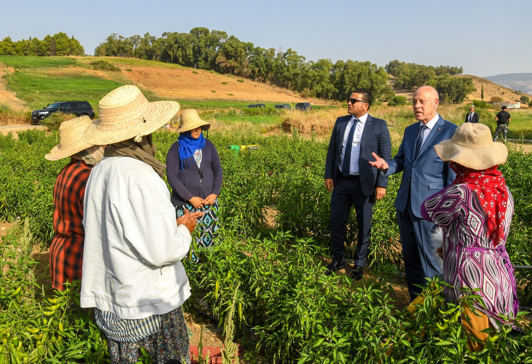 Tunisie: Lancement d’un nouveau programme pour les ouvrières agricoles