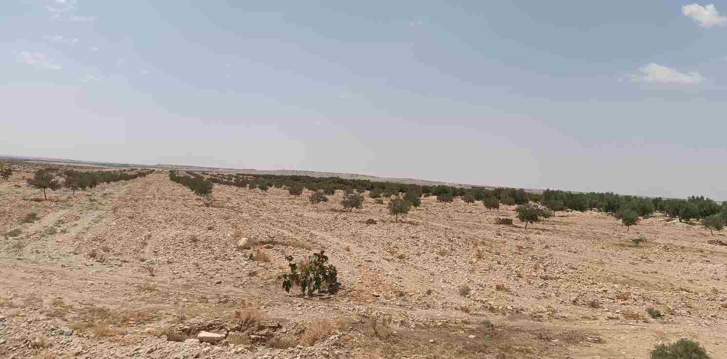 Kasserine: Privés d’eau potable, les habitants de Letaïfia protestent [Déclaration]