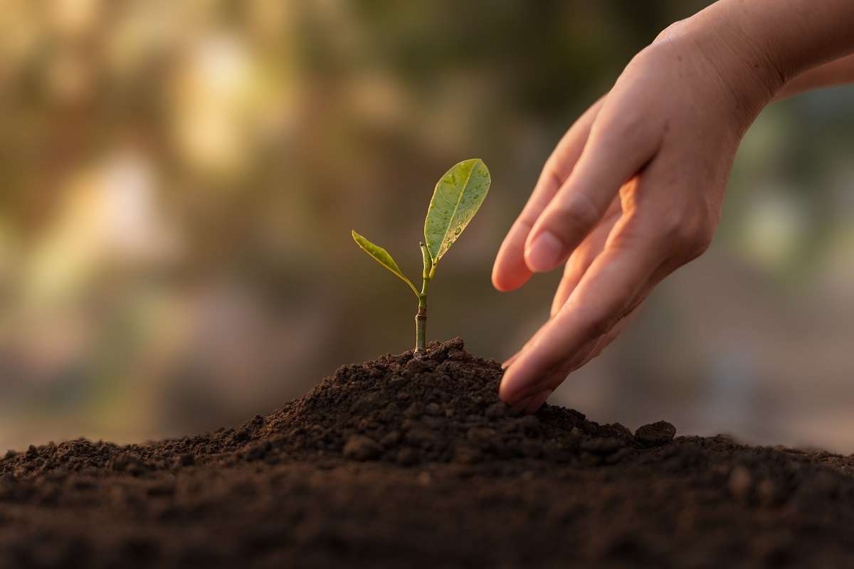 25 millions d’euros pour appuyer les projets agricoles durables