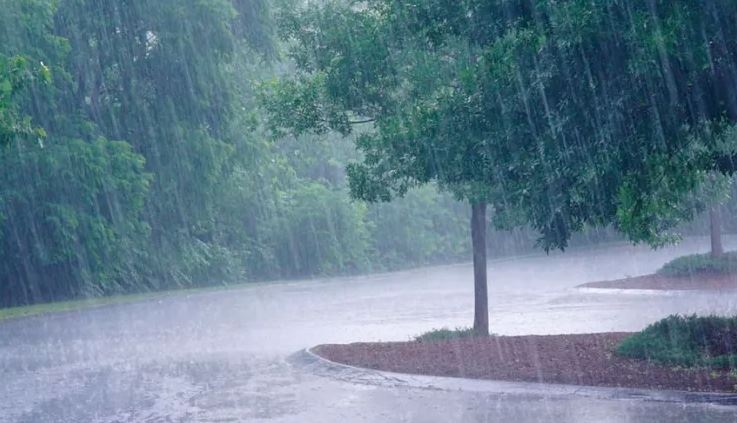 Des pluies importantes cet après-midi à Kasserine [Photos]