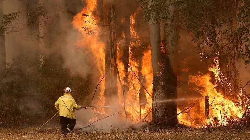 Jendouba-Protection civile: Les flammes ont été maîtrisées à Bousalem