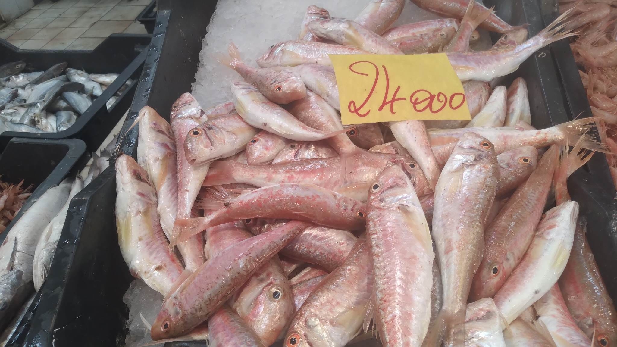 Nabeul: Prix au marché municipal [Photos]