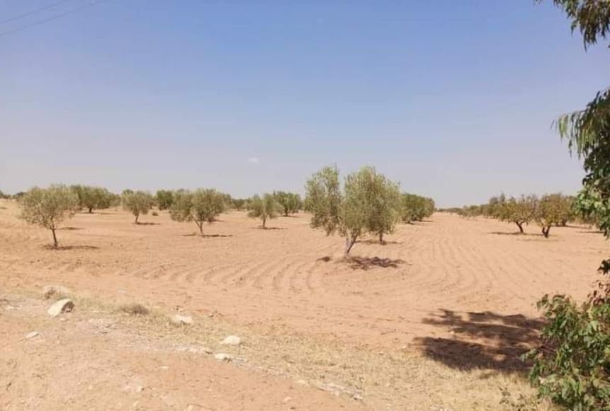 Récupération d’un terrain domanial agricole de 14,5 hectares dans le gouvernorat du Kef