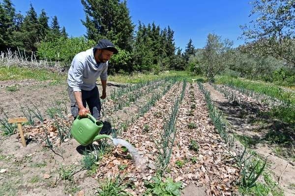 Impact du changement climatique sur l’agriculture : une première estimation