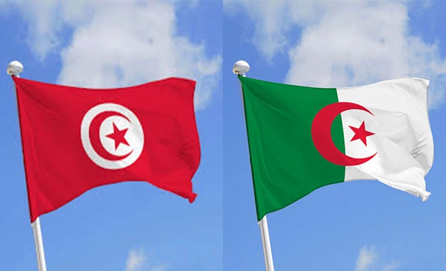 Tunisie-Algérie: Les deux parlements appellent à protéger le peuple palestinien