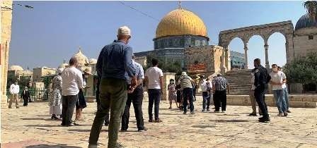 Jérusalem : Des colons juifs envahissent la mosquée Al Aqsa