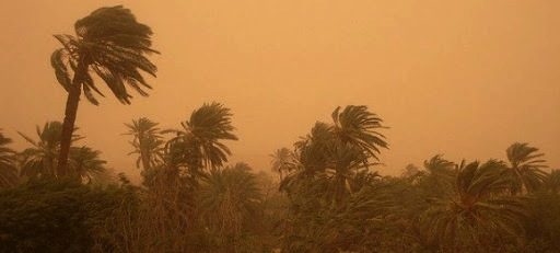 Tunisie – METEO : Températures toujours en hausse et vent fort sur le sud