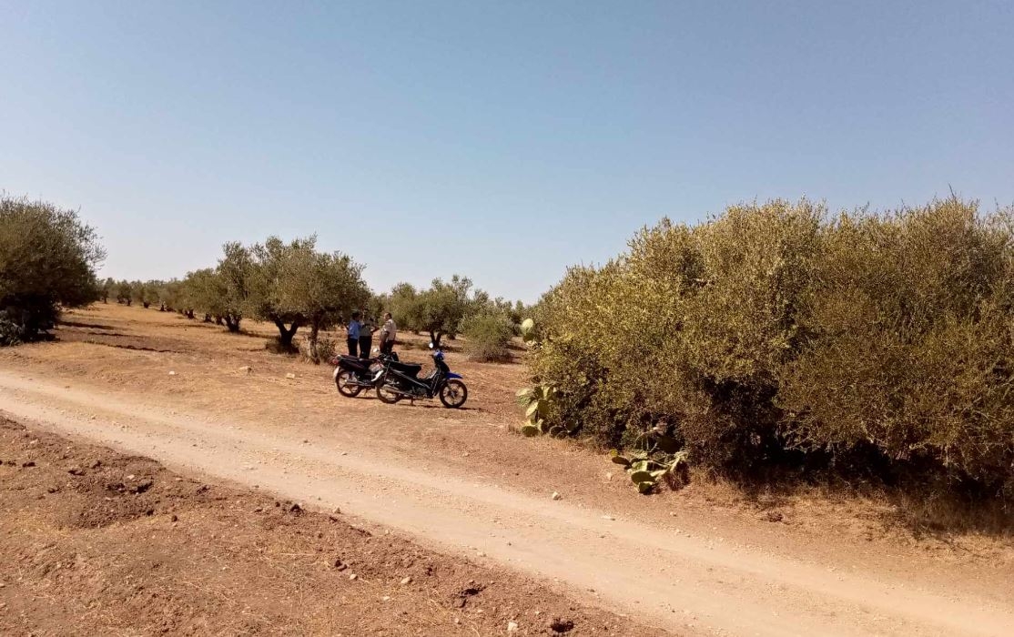 Zaghouan : Récupération de 4 terrains domaniaux agricoles totalisant 86 ha