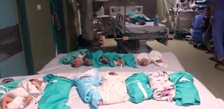 Gaza : 34 martyrs parmi les nouveaux-nés prématurés et les malades en soins intensifs pour manque...