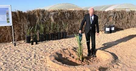 Tunisie – IMAGES : Kaïs Saïed commémore la fête de l’arbre à Rjim Maâtoug à Kebili