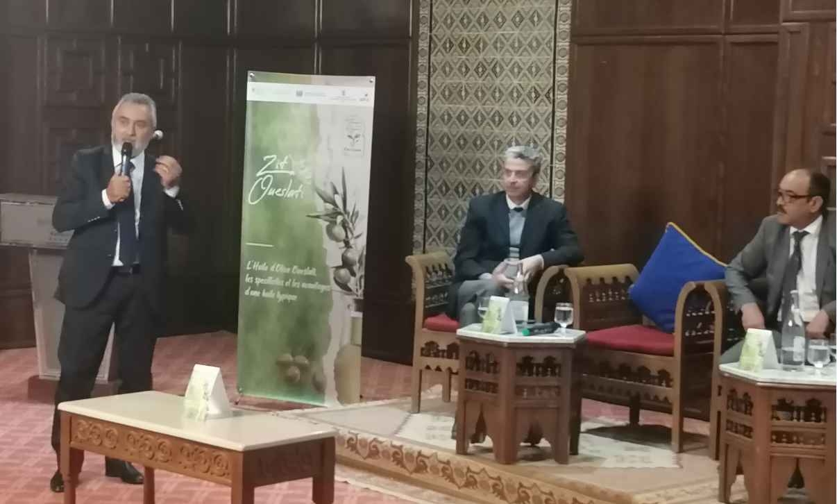 Kairouan: Journée d’étude sur les variétés de l’huile d’olive (Photos)